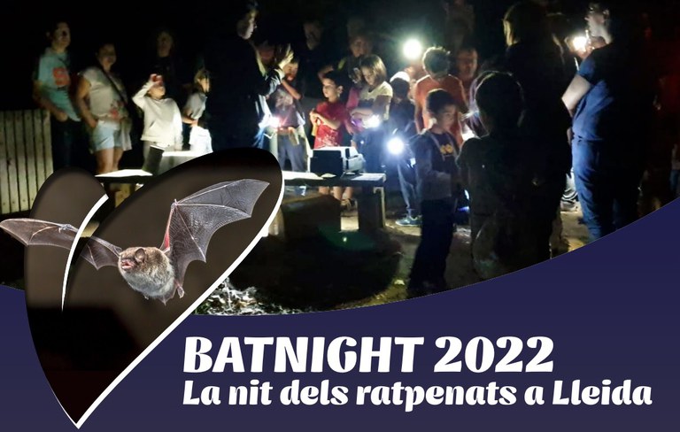 CELEBRACIÓ · LA NIT DELS RATPENATS A LA MITJANA. LA BATNIGHT